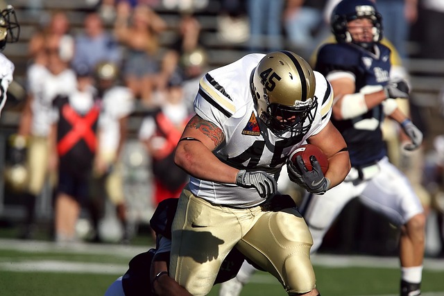 球迷们将目 球迷们将目