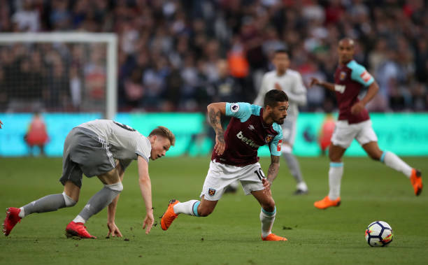 他们多次在 他们多次在